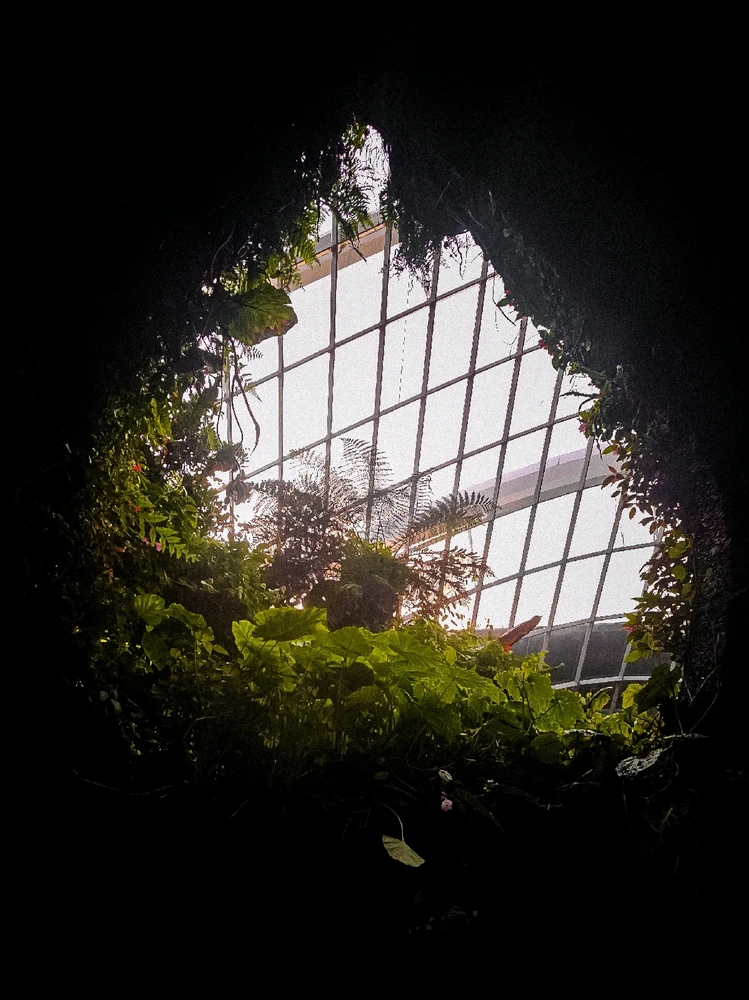 Image uploaded by Aarsh