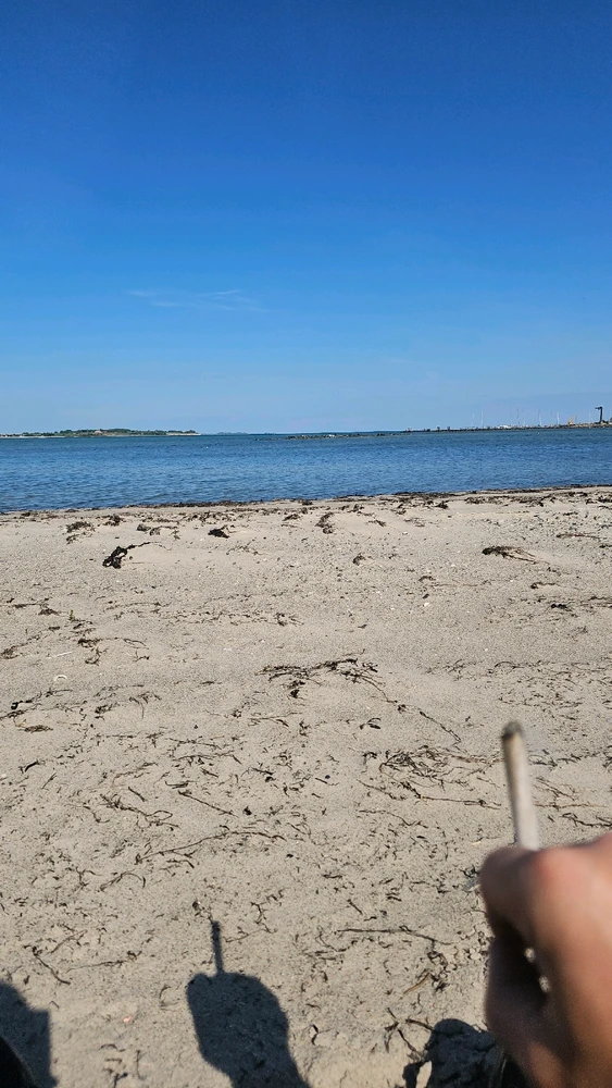 GIF hochgeladen von Mantas