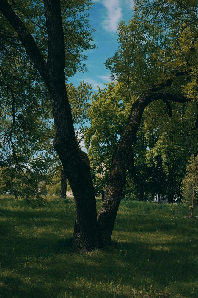 Nuotrauką įkėlė Tim