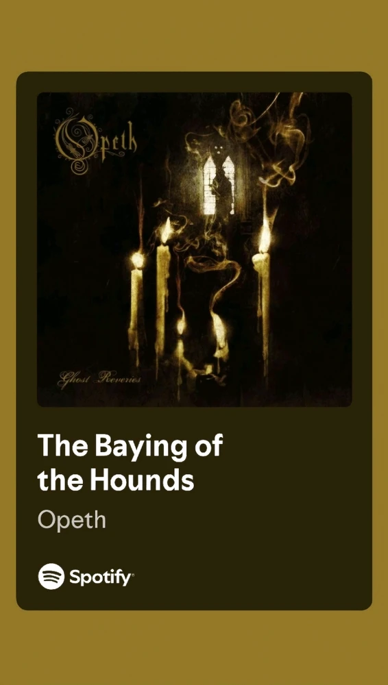 GIF uploaded by Zach ♰