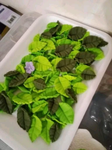 Качено от Деси