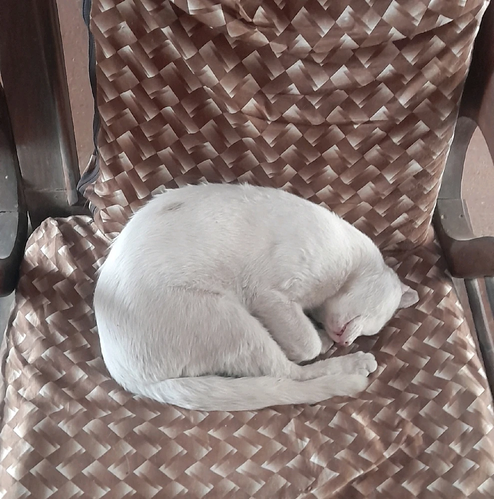 GIF uploaded by Waqar