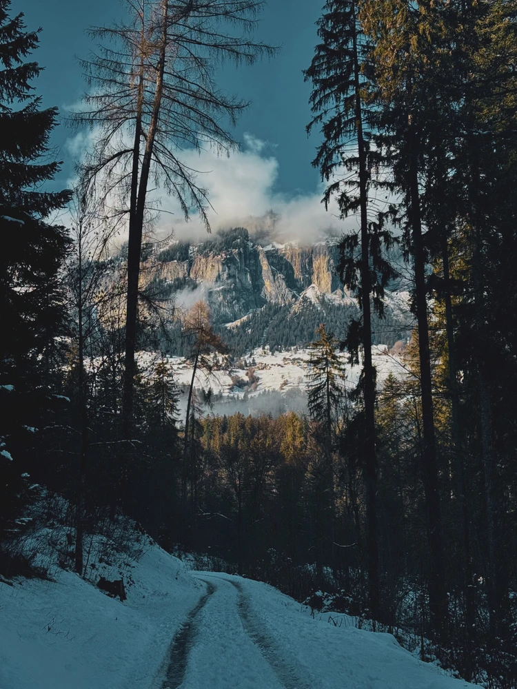 Image uploaded by Benas