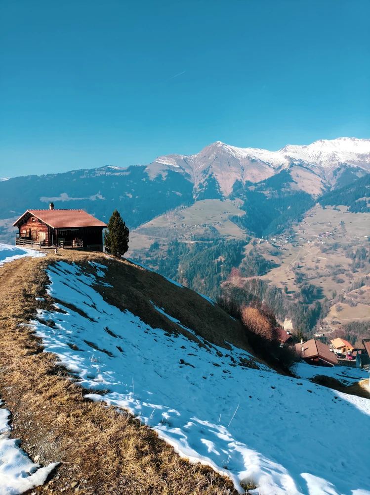 Image uploaded by Benas