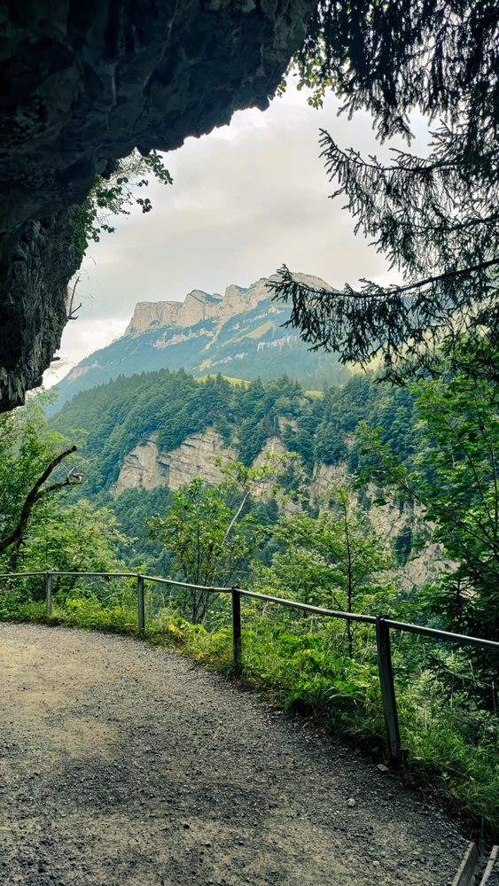 Image uploaded by Benas