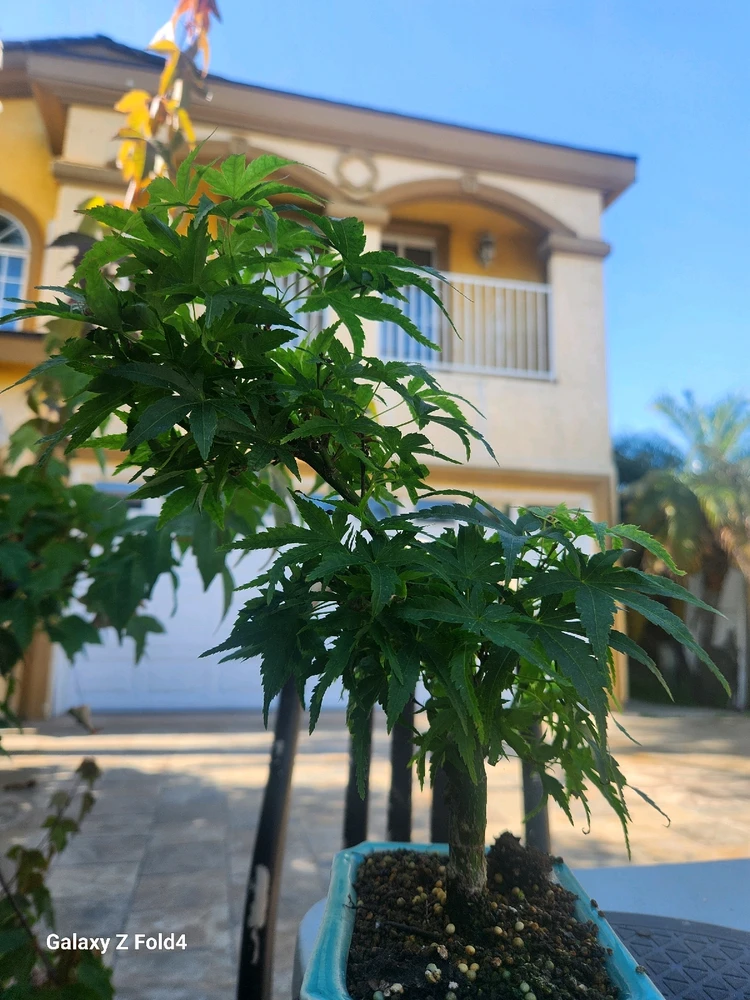 Imagen subida por Reyes