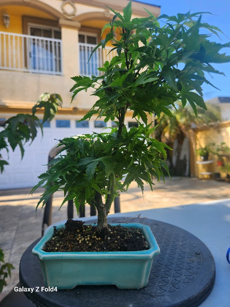 Imagen subida por Reyes