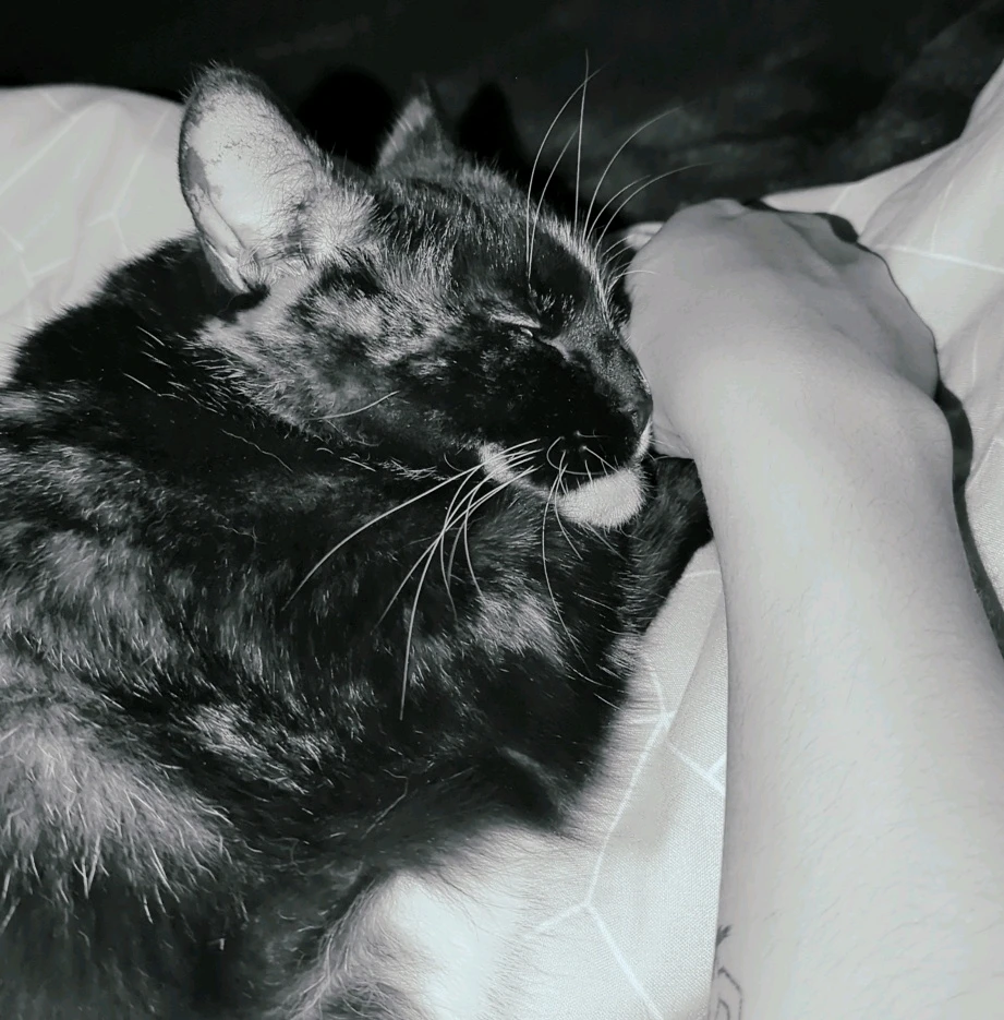 Image uploaded by Topher