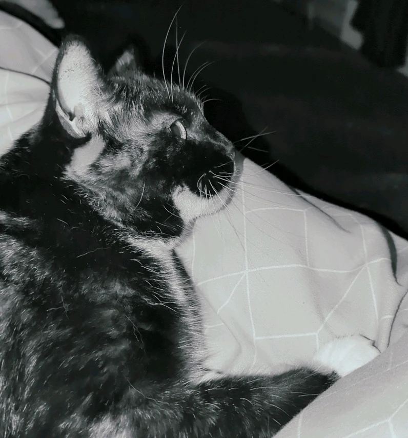 Image uploaded by Topher