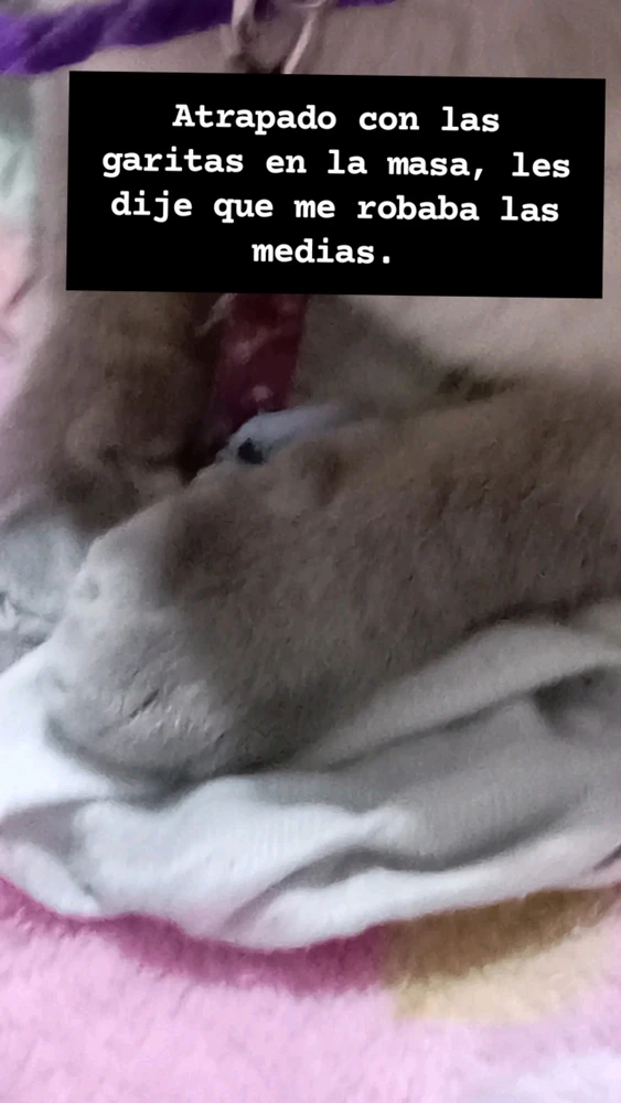 Imagen subida por Laty