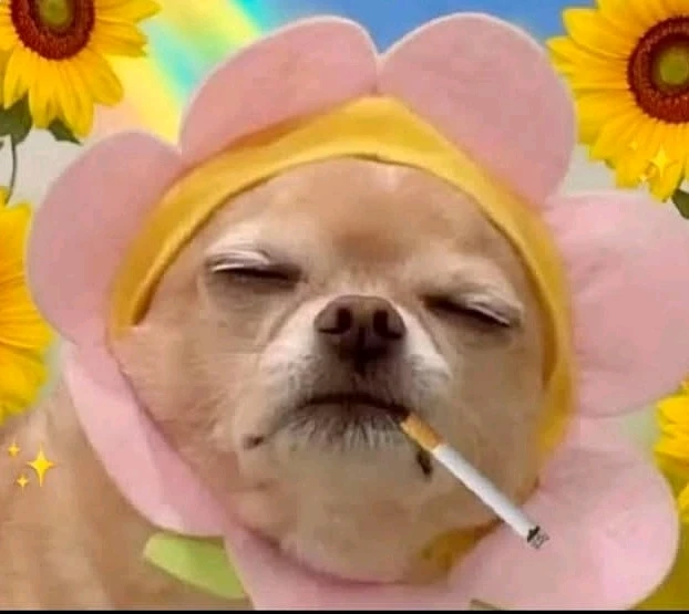 GIF uploaded by Brydon Blake