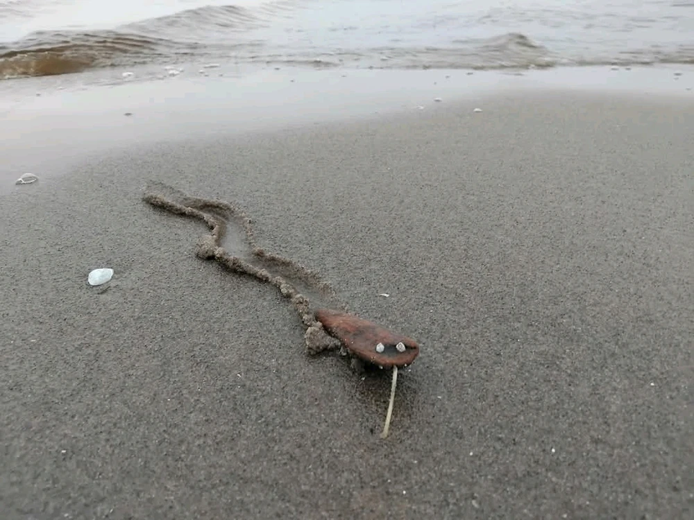 GIF uploaded by Artis