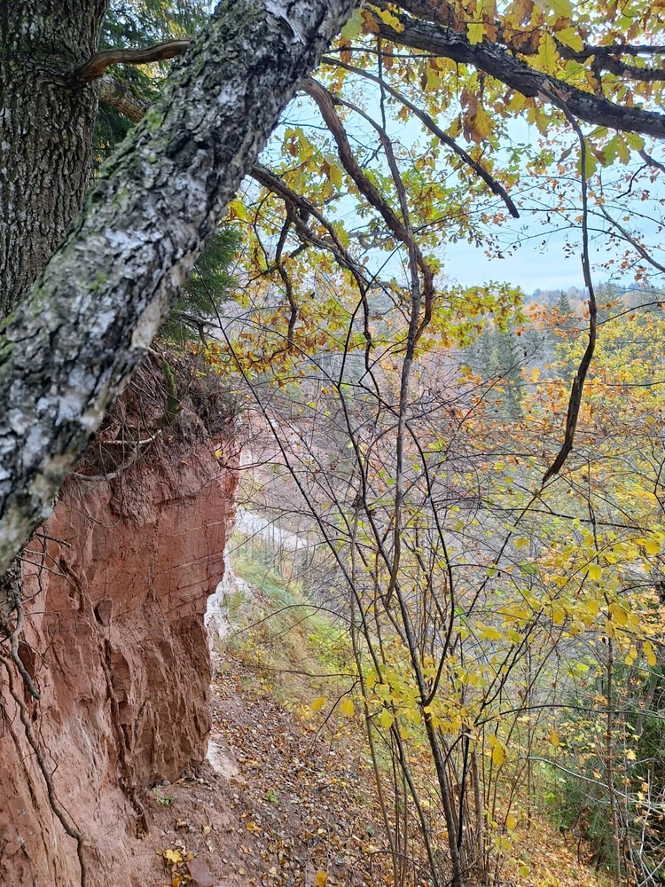 Image uploaded by Artis