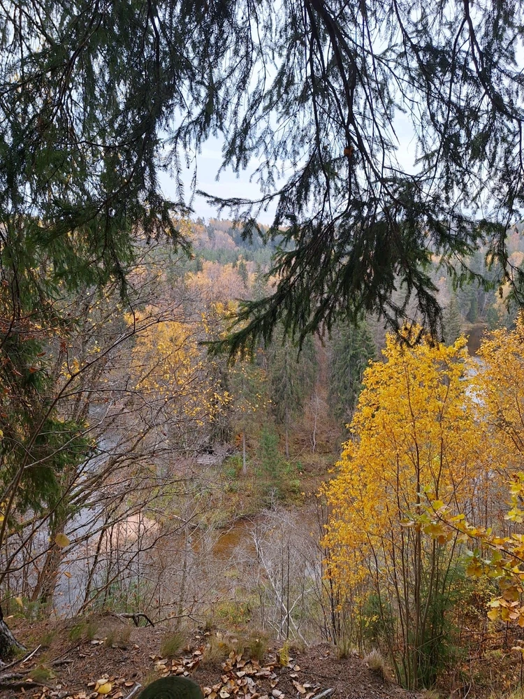 Image uploaded by Artis