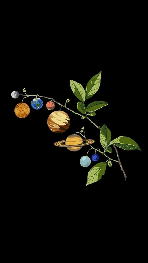 GIF uploaded by Mr.Blk