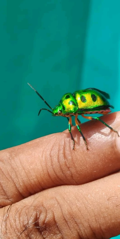 GIF uploaded by Bharath