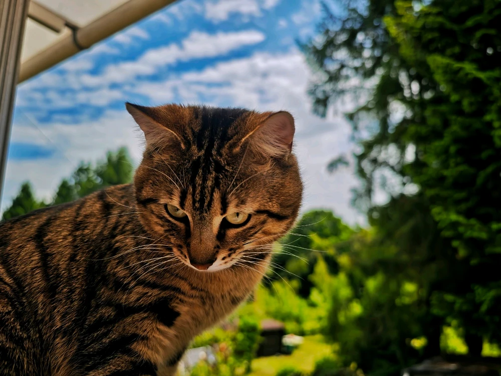 Image uploaded by Boriss