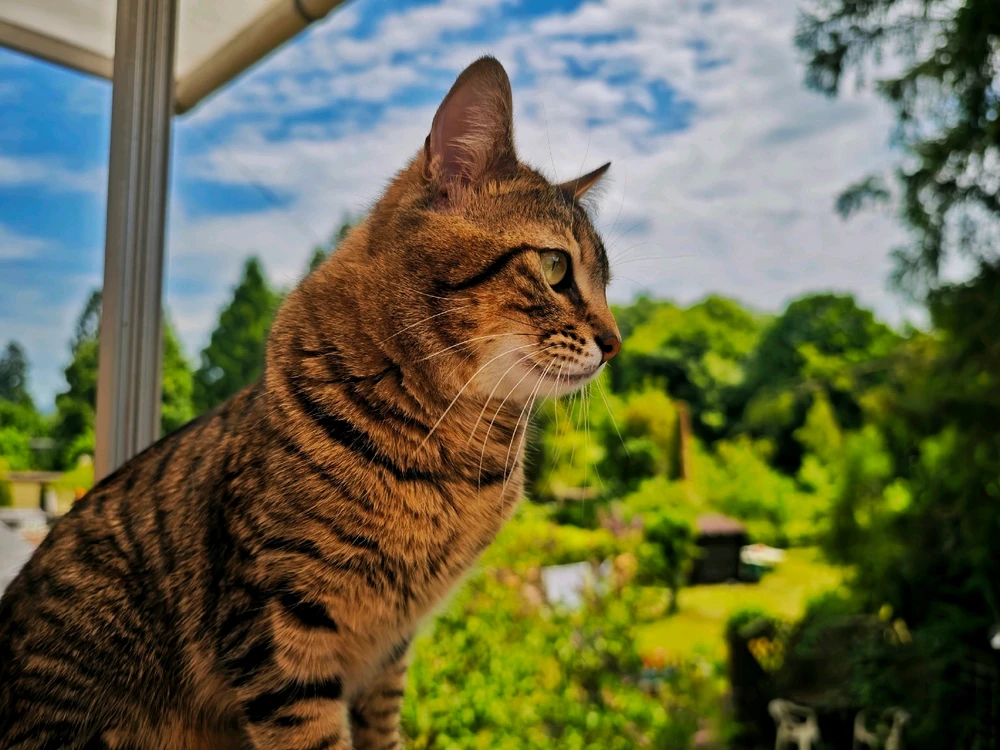 Image uploaded by Boriss