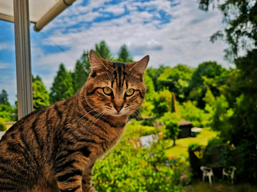 Image uploaded by Boriss