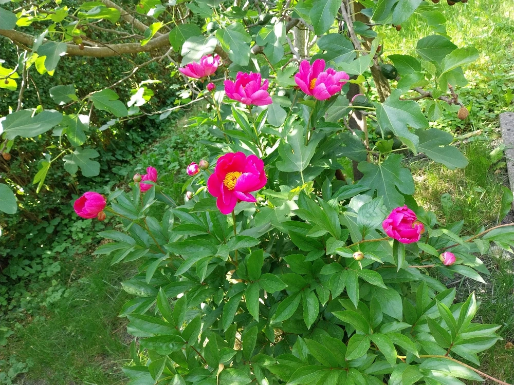 GIF ajouté par Laeti 💜👻