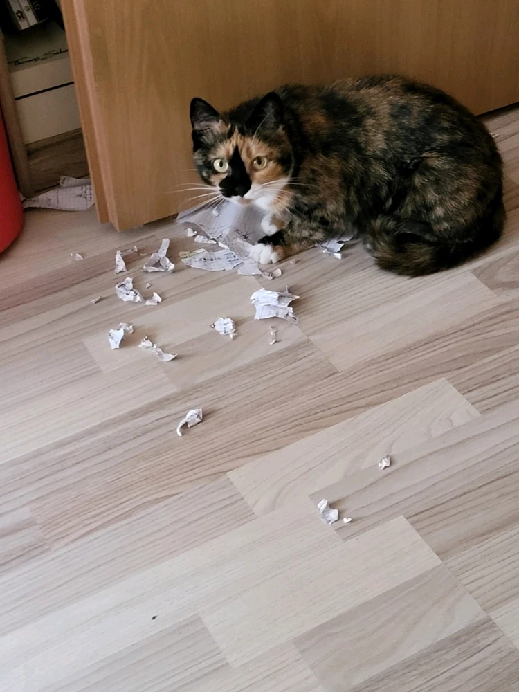 GIF diunggah dening Nadya