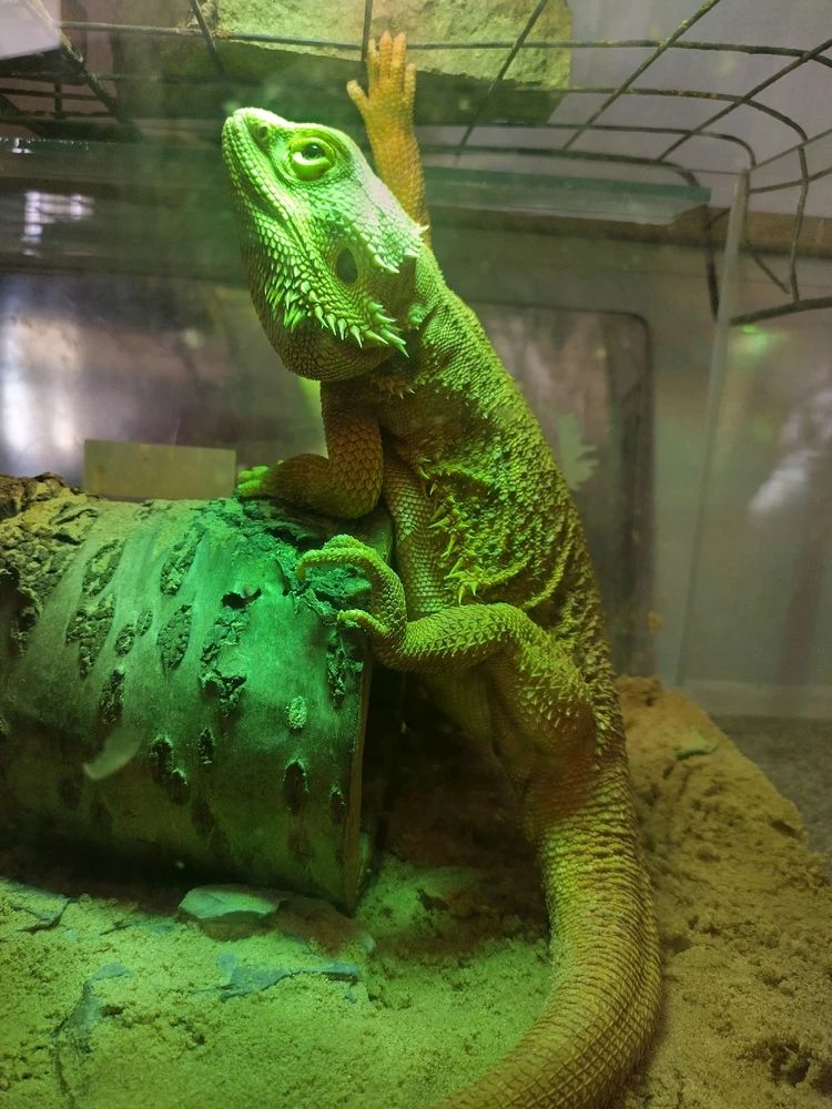 GIF uploaded by Hayden