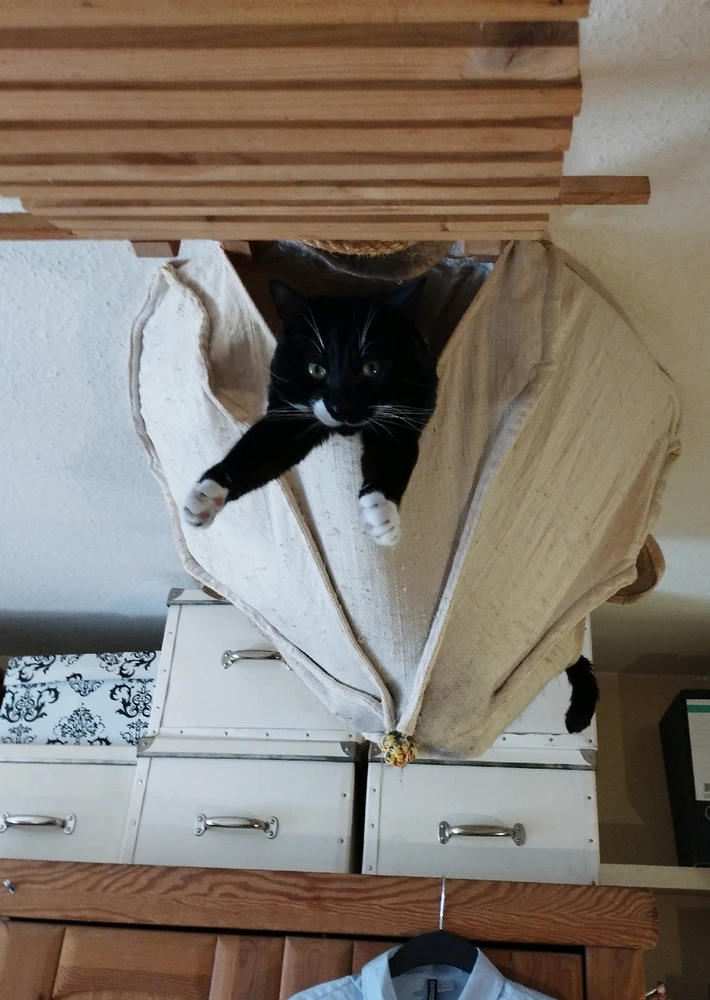 GIF hochgeladen von Ela