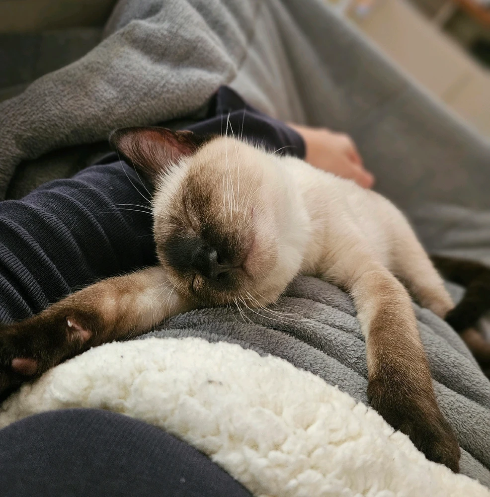 GIF enviado por Pamella