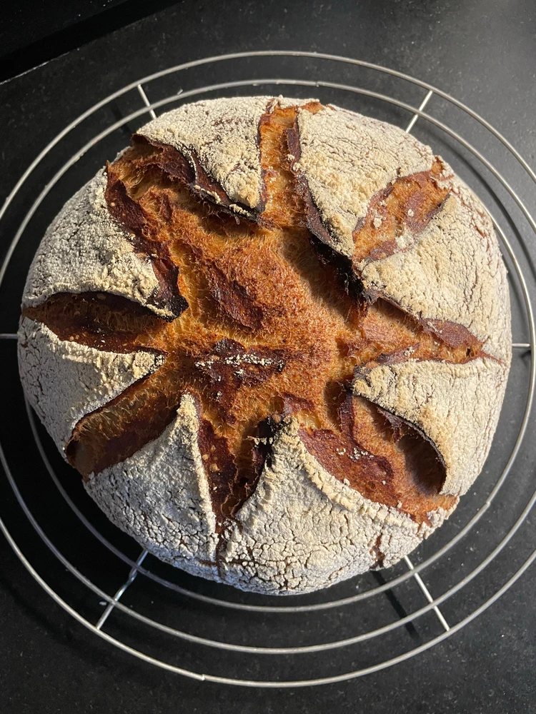 Bild hochgeladen von Marc