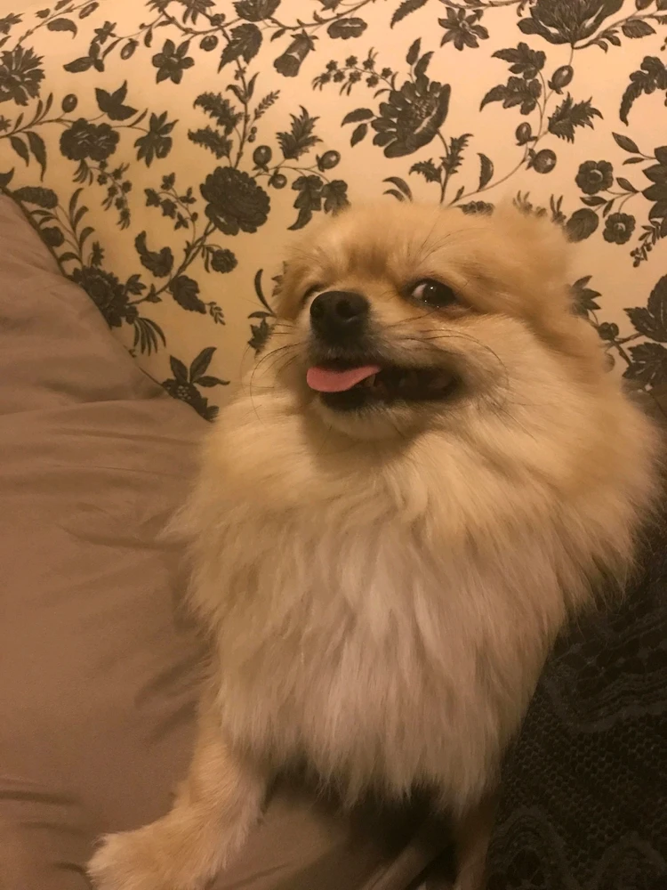 GIF uploaded by Satriani Said