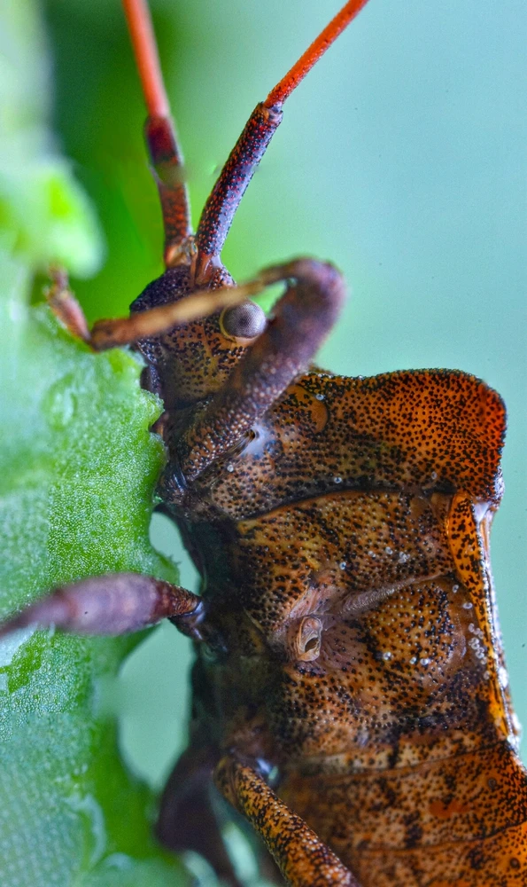 Фото загрузил Николай