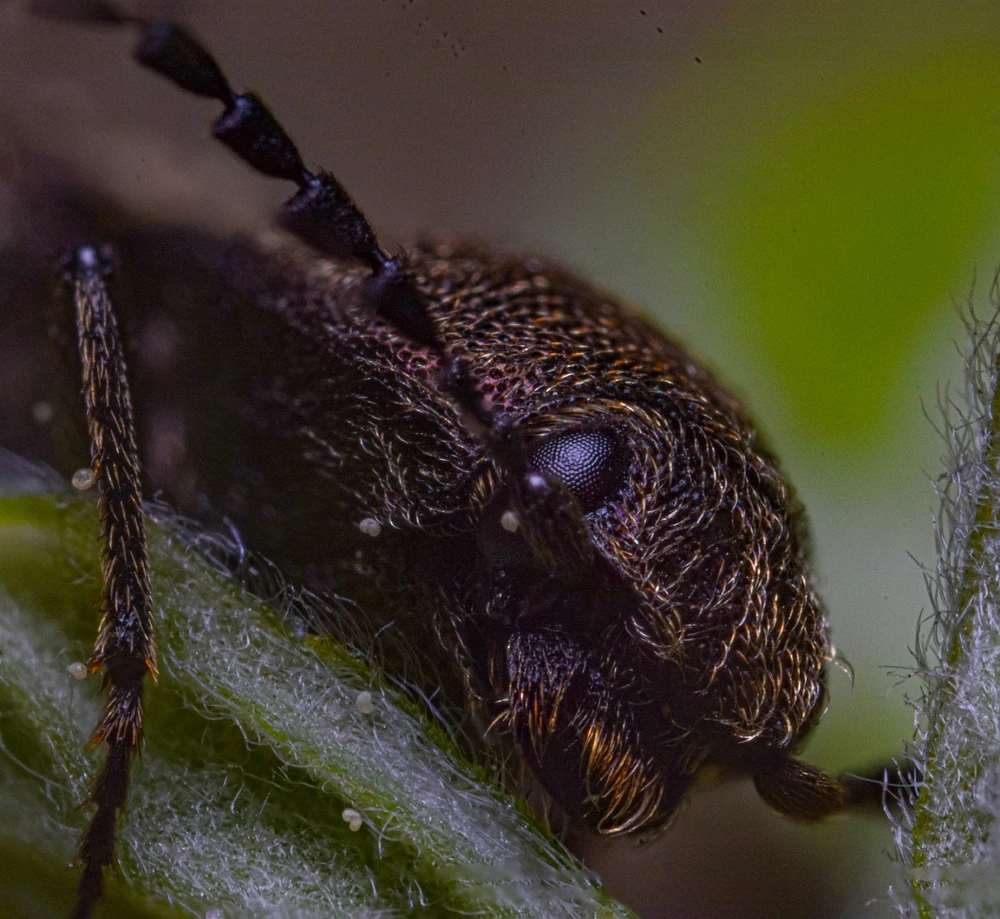 Фото загрузил Николай