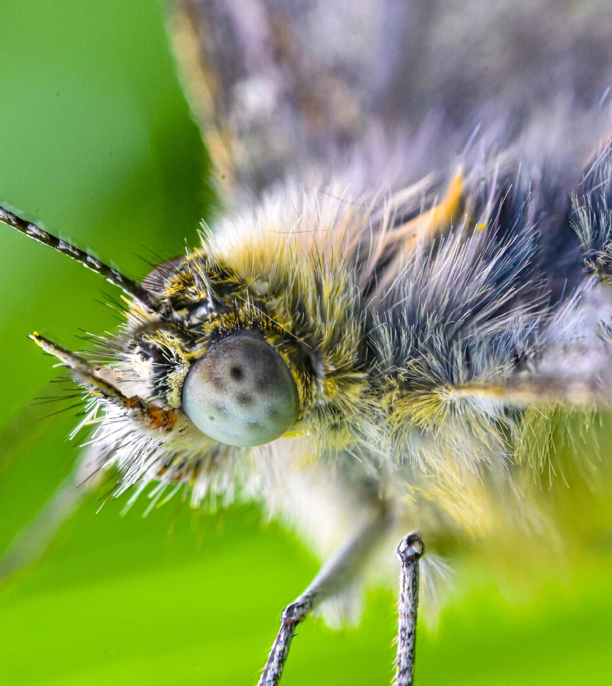 Фото загрузил Николай