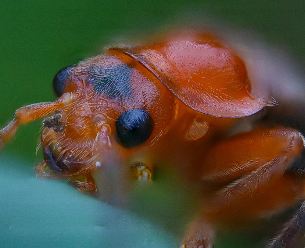 Фото загрузил Николай