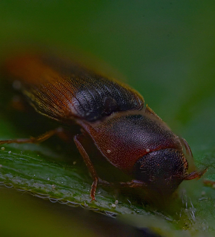 Фото загрузил Николай