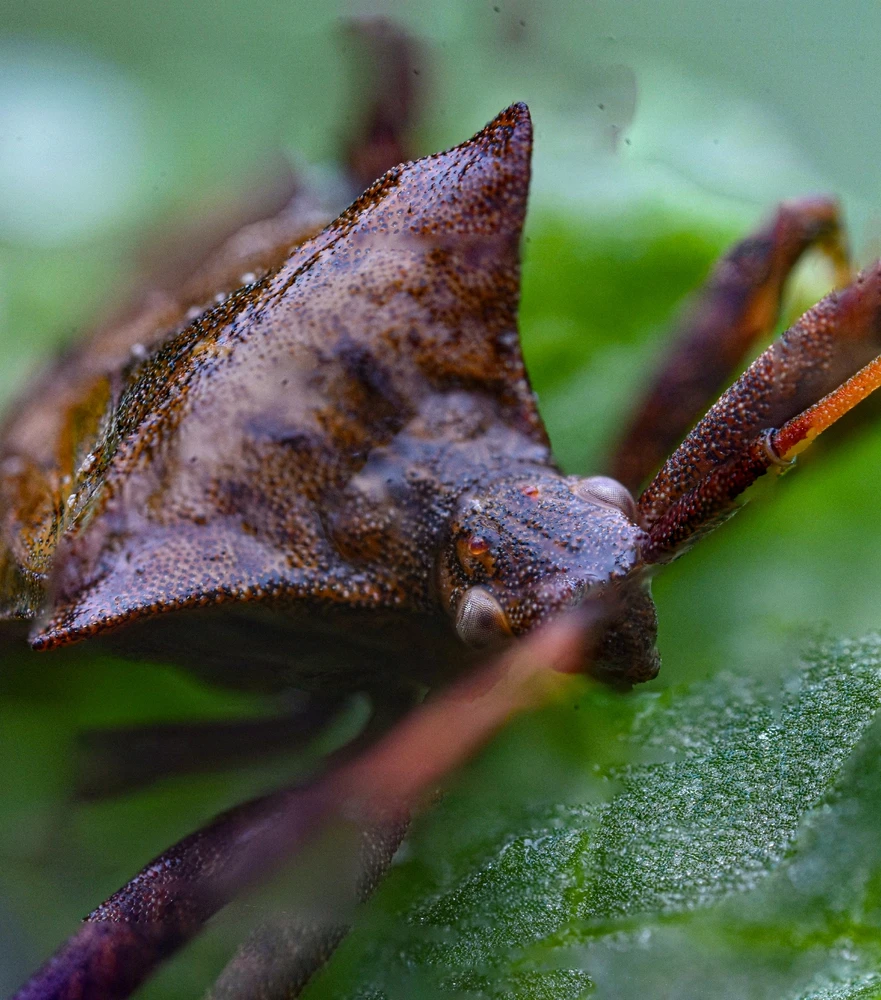 Фото загрузил Николай