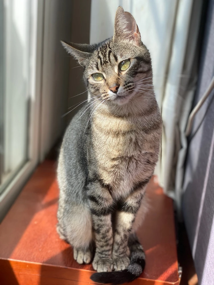 GIF subido por Santiago