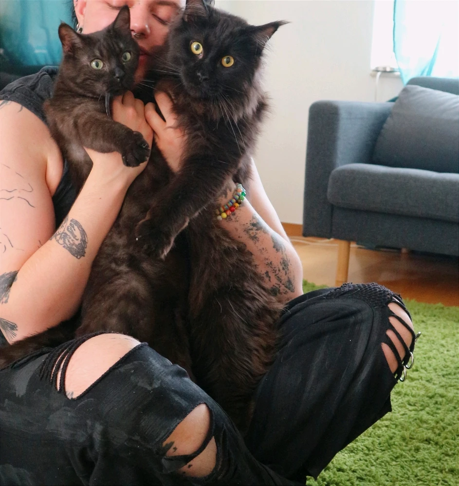 GIF uploaded by Vlad