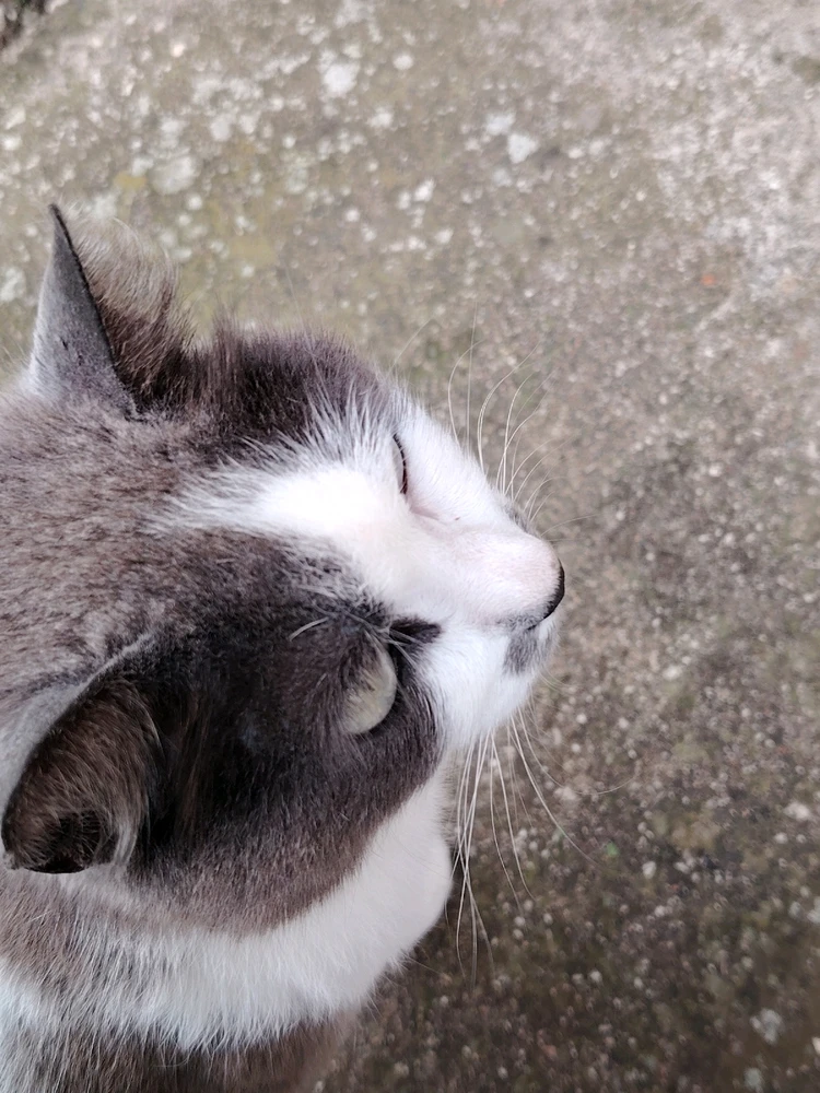 Immagine caricata da El Massi