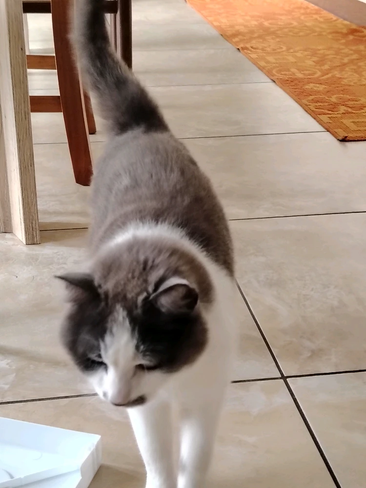 Immagine caricata da El Massi