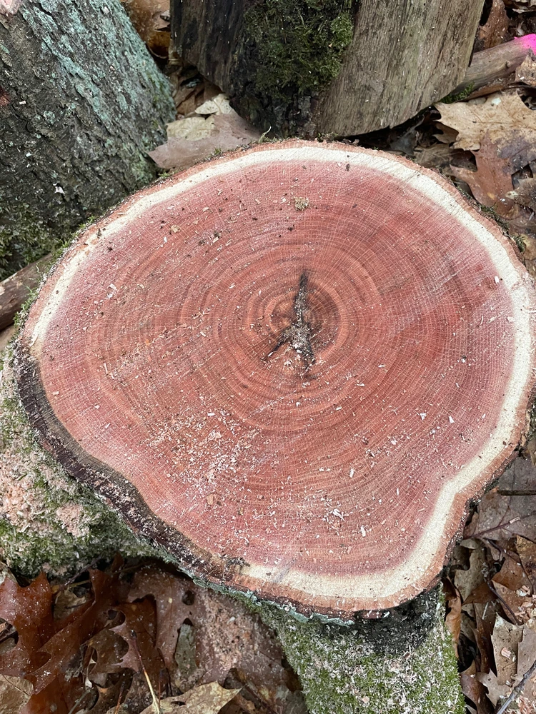 GIF hochgeladen von Marc