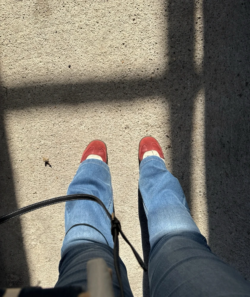 Image uploaded by Giada