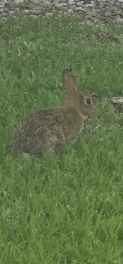 Gambar diunggah dening Liza