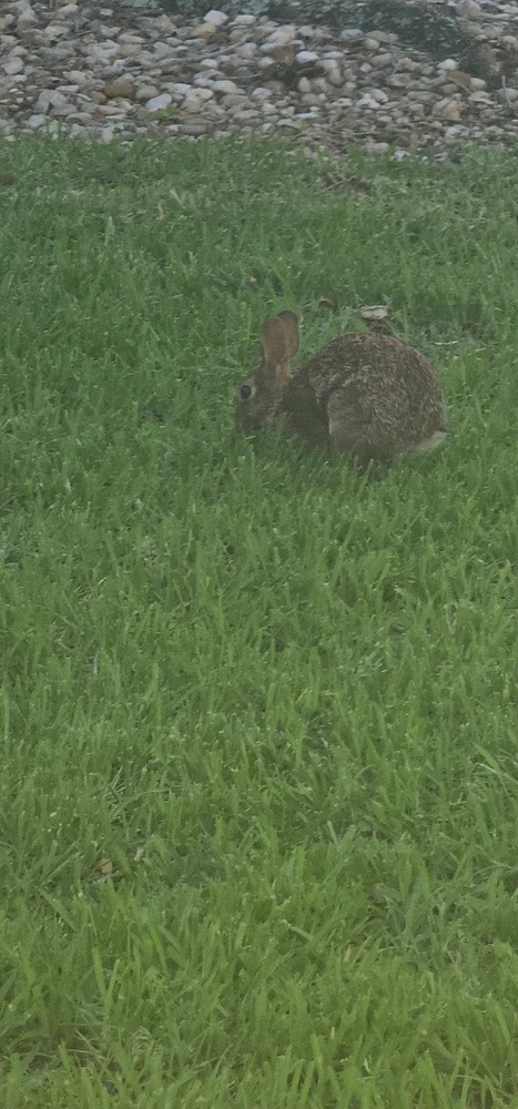 Gambar diunggah dening Liza