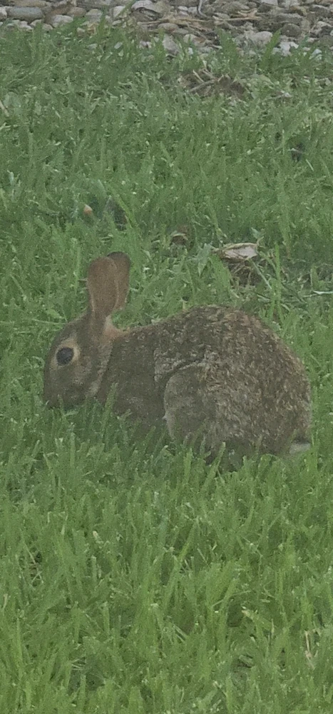 Gambar diunggah dening Liza