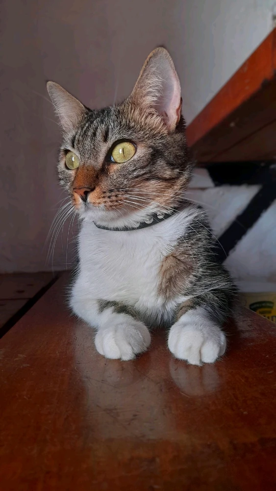 GIF رفعها Lourdes