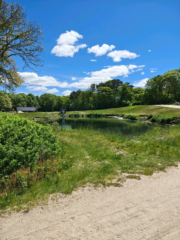 Image uploaded by Bradley