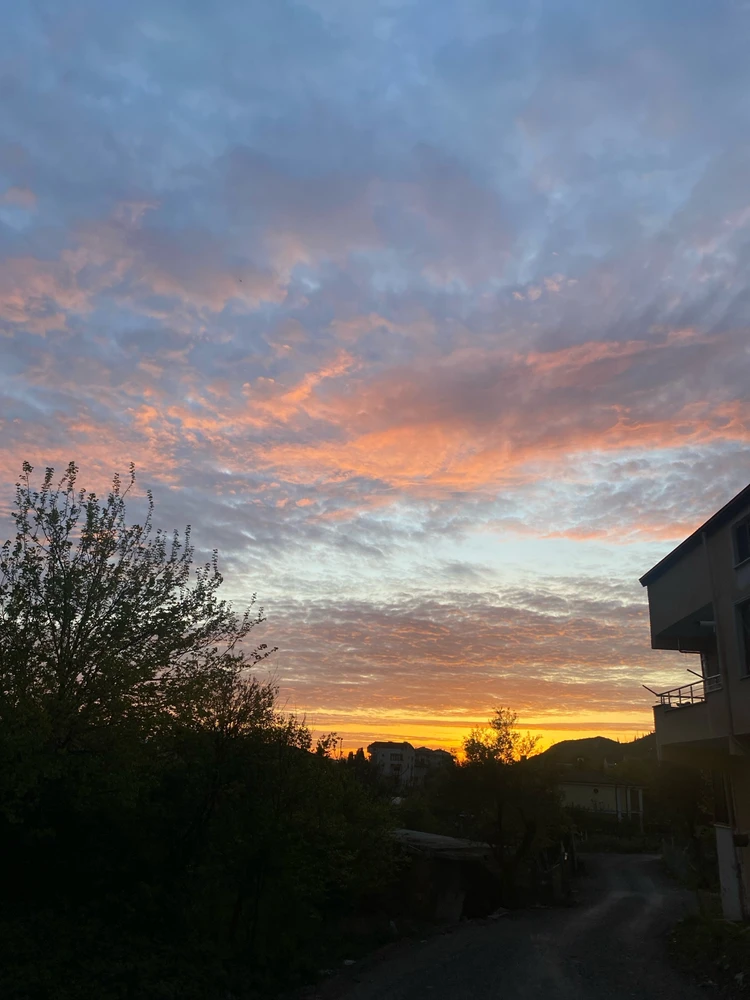 Hamzovskii tarafından yüklenen GIF