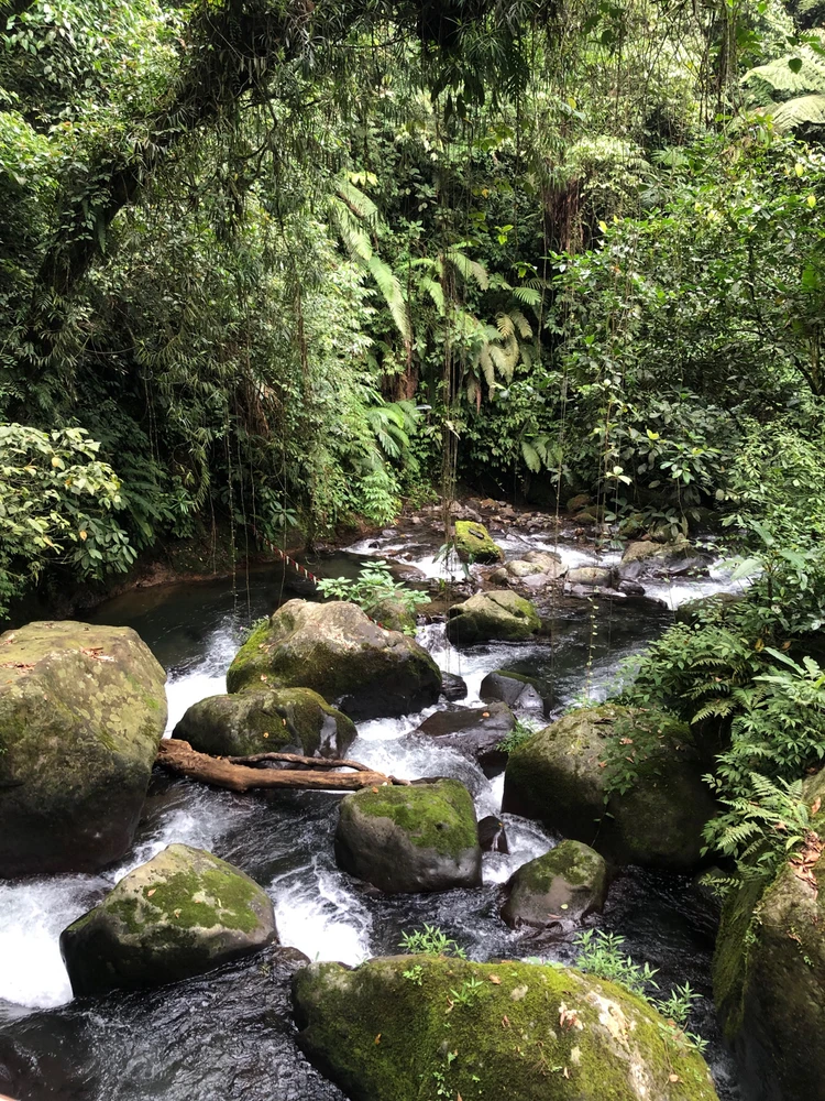 Image uploaded by Tann