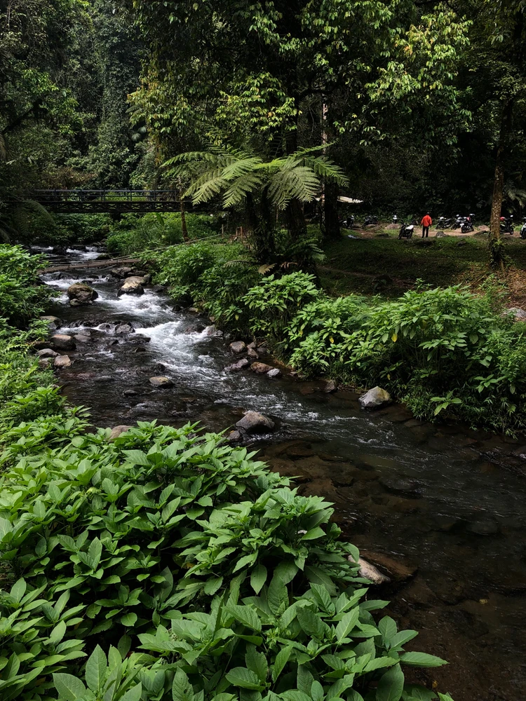 Image uploaded by Tann